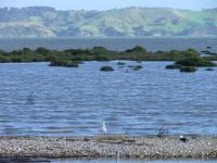 Oystercatcher Bay Boathouse - Chambres d’hôtes Coromandel