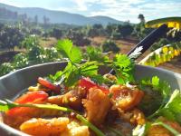 Napahong Treehouse forest camp - Bed and Breakfast Ban Pa Ha