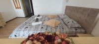 Estudio con 1 cama grande