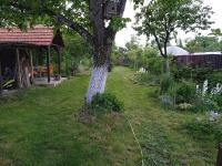 Садиба-студіо Під вишнею - Ferienwohnung Astei