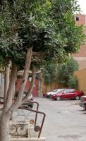 Pyramids Terrace INN - Bed and Breakfast Caïro