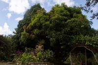 Jardín Secreto - Bed and Breakfast San Martín