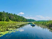 Chalet du Ruisseau Enjoy nature all year long - B&B Bouchette