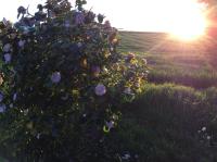 Histoire de - B&B Guidel