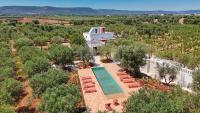 TD Lamia Porta Rossa, Countryside with Olive Trees - B&B Fasano