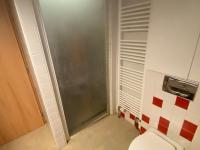 Studio Lissa u Prahy - B&B Lysá nad Labem