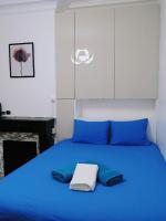Charming Parisian studio at Rue Coysevox - B&B Parigi