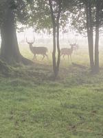 Logement Seigneur - Bed and Breakfast Rambervillers