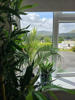 Abbey Lodge - Room 2 - B&B Ardara