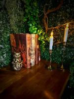 Béziers - 4 couchages - Spa & billard - B&B Béziers