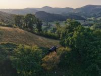 Cyra - Bed and Breakfast Llangollen