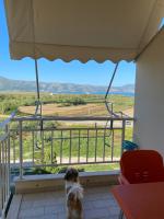 Little Pearl - B&B Orikum