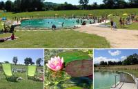 Maison Au Calme des Pyrénées - B&B Nestier