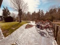 FH Rosengang - fuer 6 Personen, Kamin, Terrasse, Garten - Chambres d'hôtes Born