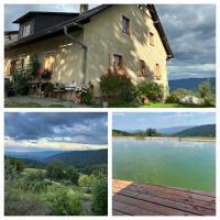 Mauthnerhube Ferienwohnung mit Sauna, Whirlpool, Hüttenfeeling - Bed and Breakfast Sankt Oswald ob Eibiswald