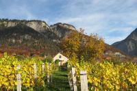 Fromm's Guesthouse - B&B Malans