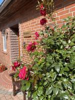 Stilvolle Landhaus-Wohnung mit Garten in der Heide - B&B Bodenteich