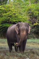 Sambu Cabana Panama - B&B Panama