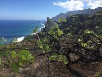 Villa Cleo, vistas de ensueño - B&B San Miguel De Abona