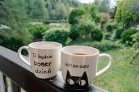 Willa RIVA - Ferienwohnung Wisla