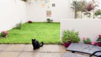Skellig Fuchsia Lodge Ballinskelligs by Trident Holiday Homes - B&B Ballinskelligs