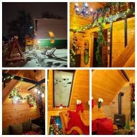 Wooden cottage "green house" in Bakuriani - B&B Bakuriani