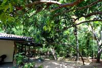 Sigiriya Freedom Lodge - Ferienwohnung Dambulla