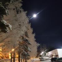 My Hillside Home with a beautiful view, next to the bus stop - Chambres d’hôtes Rovaniemi