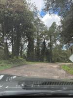 Domo Los Ángeles - B&B Huauchinango