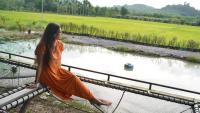 Rice Field Bungalows - B&B Ban Pak Nam
