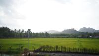 Rice Field Bungalows - B&B Ban Pak Nam