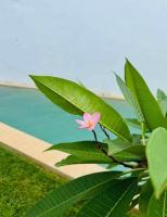 Muunyal Naj - B&B Valladolid