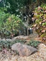 Acogedora suite con entrada independiente - B&B Minatitlán