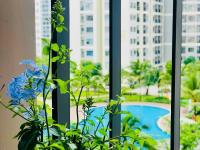 Cams house Studio căn hộ nhỏ Vinhomes Grand Park - B&B Long Bình