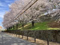 三の丸Stay 202号室 - Chambres d’hôtes Kumamoto