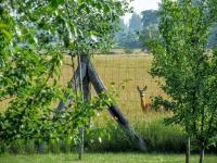 Balogh-Szatmári Kúria - B&B Hajdúszoboszló