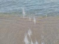 Vila DVA 3 - B&B Zlatni Pyasatsi