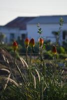 The Old Dairy at Allemanskloof - B&B Paarl