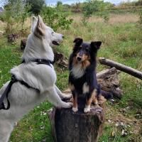 Le gite du chtihameau avec piscine intérieure privative, selon date - B&B La Bassée