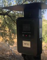 Camera Matrimoniale Superior con Vista Giardino 