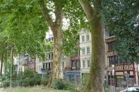 Appartement Confort en Couleurs - Bed and Breakfast Rouen