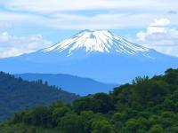 The Escape Nanyuki - Chambres d’hôtes Nanyuki