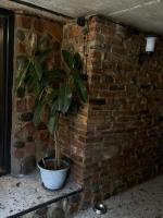 Cozy Spot - B&B Kutaisi