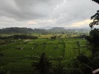 Kubu carik homestay - B&B Tirtagangga