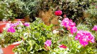 Valentini Guesthouse - Bed and Breakfast
