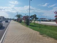 B&B L'Uliveto - B&B Marina di Schiavonea