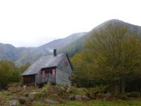 Les chalets de la forêt d'Issaux - B&B