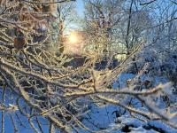 Ferienwohnung Ruhepol - Chambres d’hôtes Altefähr