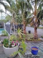 Villa la Canne Mapou No10 1 chambre - B&B Saint-Pierre