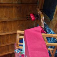 Hospedaje La Primavera - B&B Pasto